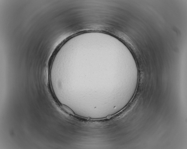 X0000113531079200910161344