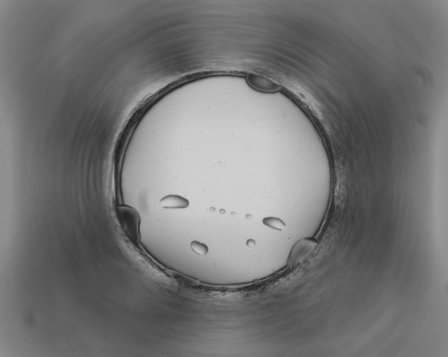 X0000113531080200910161344