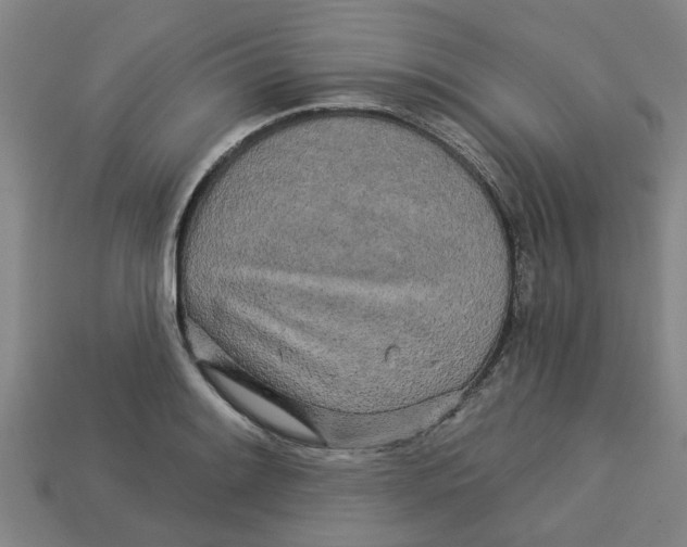 X0000113531084200910161344