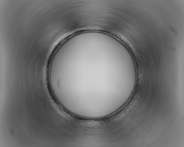 X0000113531085200910161344