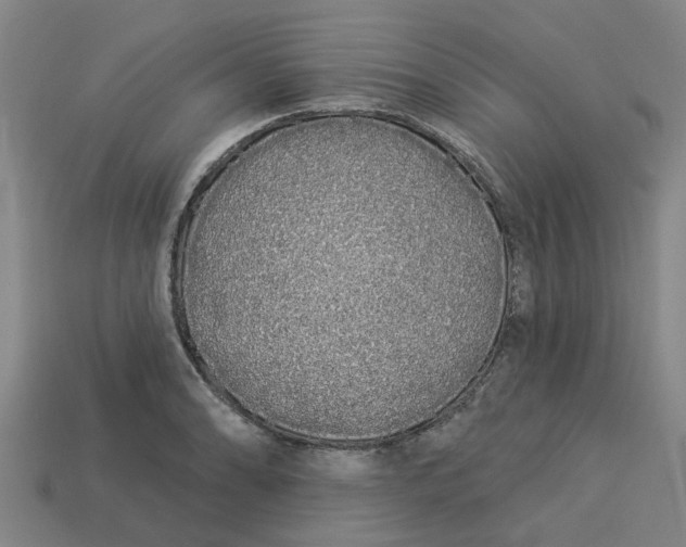 X0000113531086200910161344