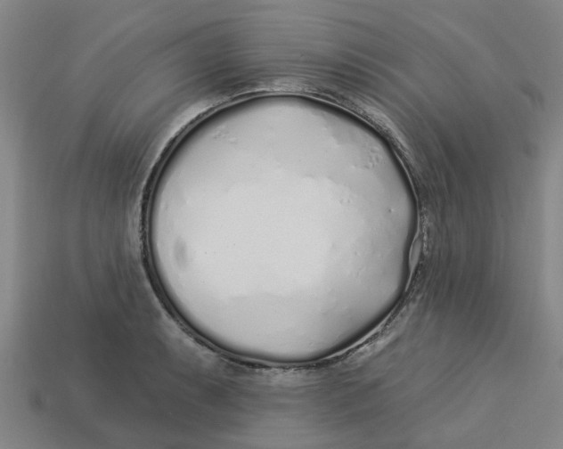 X0000113531087200910161344