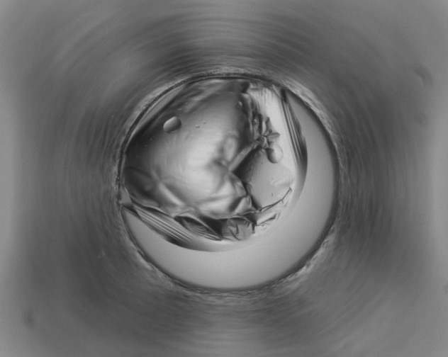 X0000113531089200910161344