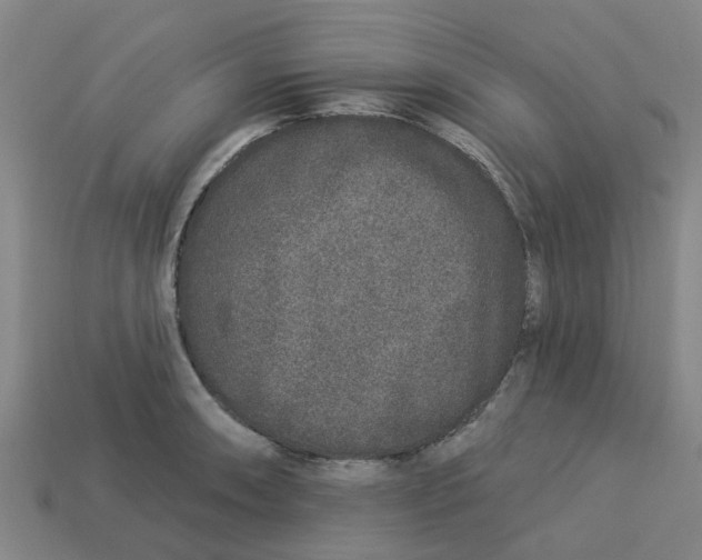 X0000113531090200910161344