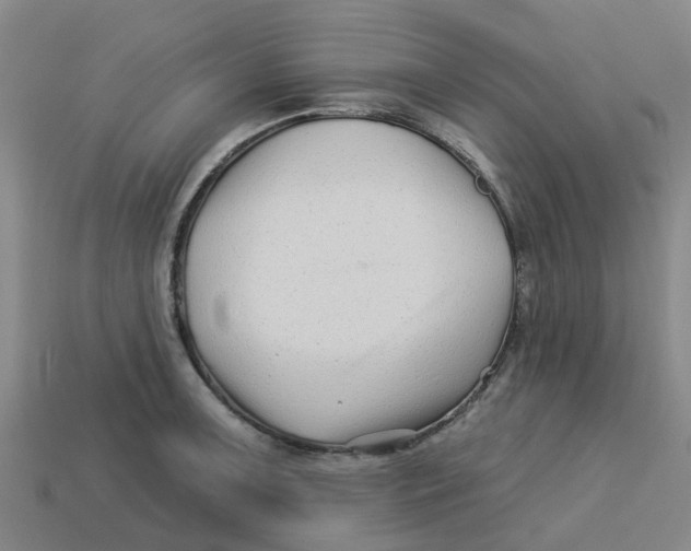 X0000113531091200910161344