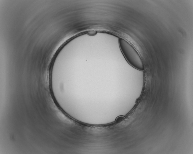 X0000113531092200910161344