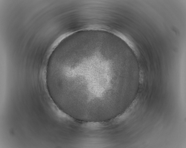 X0000113531094200910161344