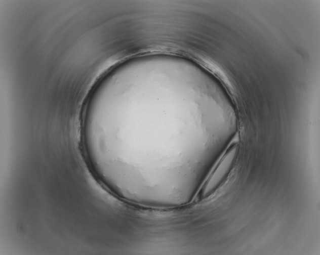 X0000113531095200910161344