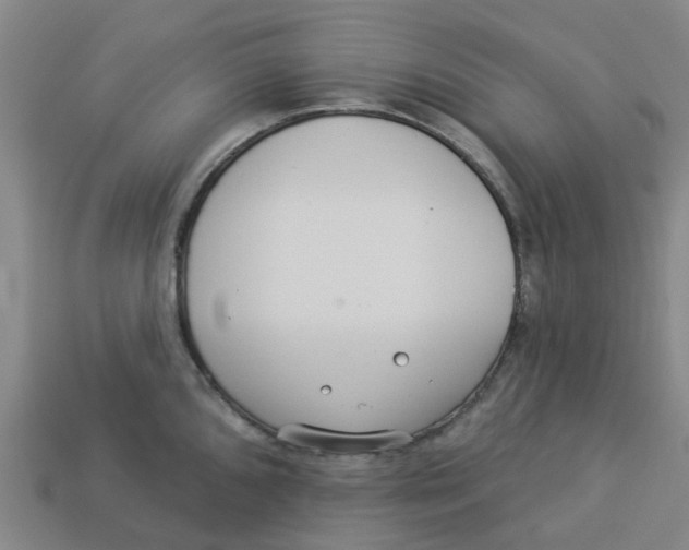 X0000113531096200910161344