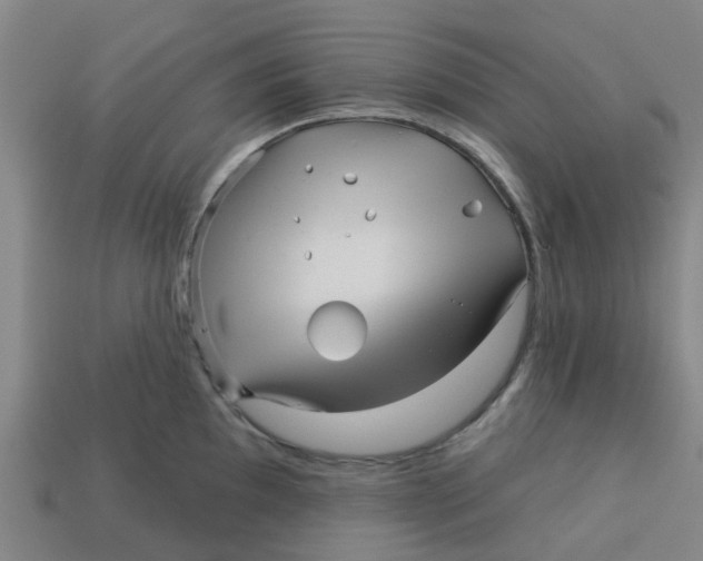 X0000113531097200910161344