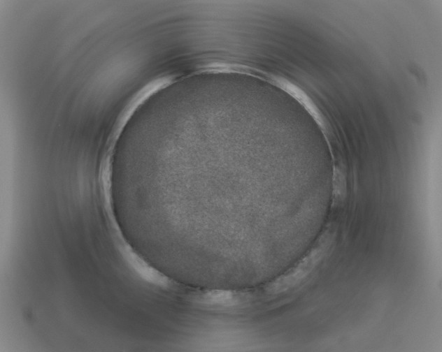 X0000113531098200910161344