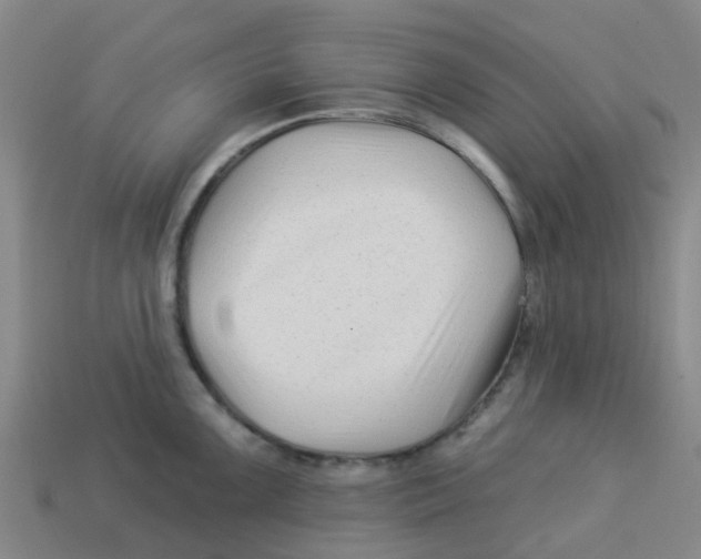 X0000113531099200910161344