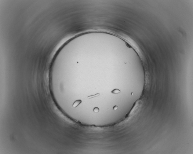 X0000113531100200910161344