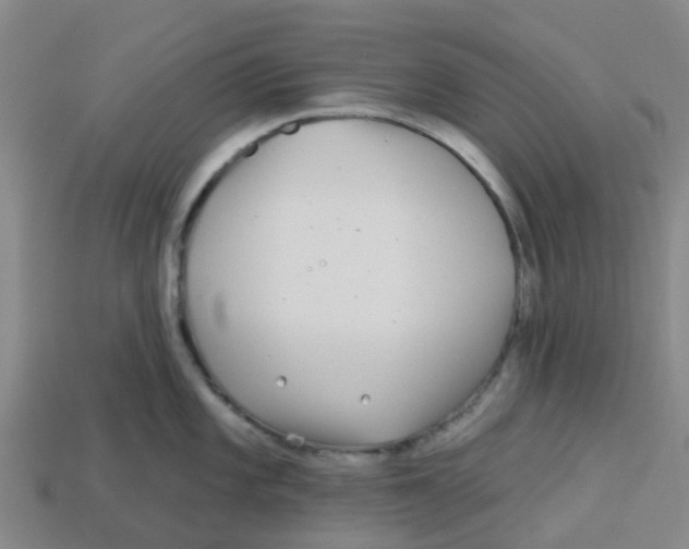 X0000113531101200910161344