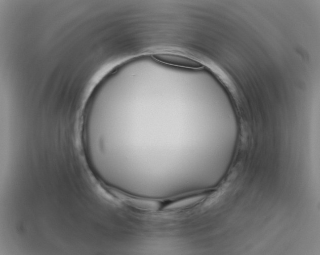 X0000113531102200910161344