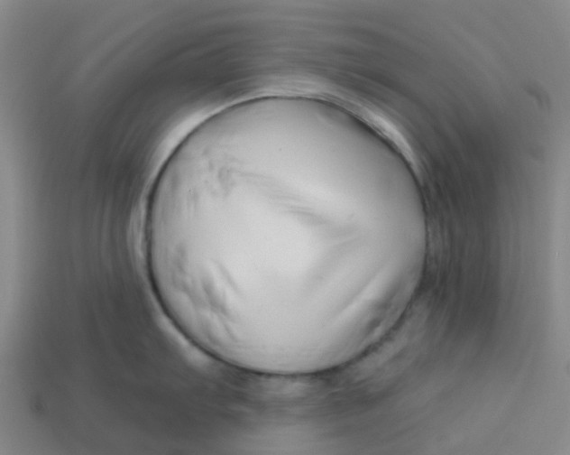 X0000113531103200910161344