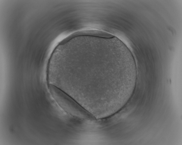 X0000113531104200910161344