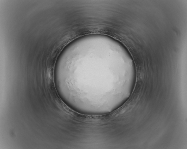 X0000113531106200910161343