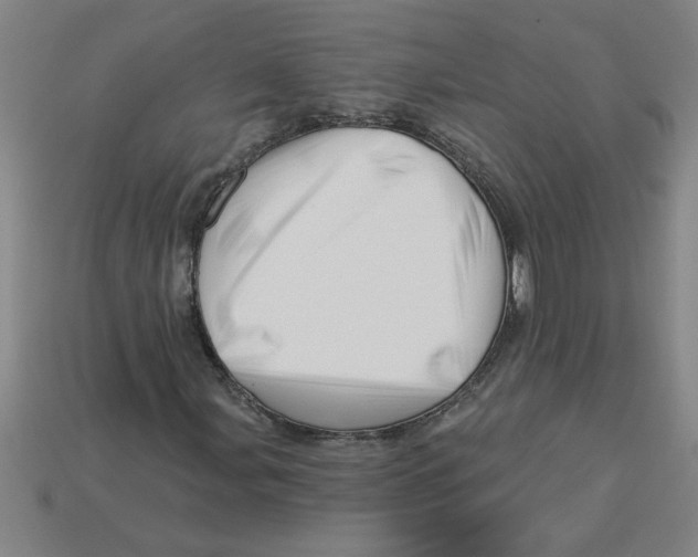 X0000113531107200910161343