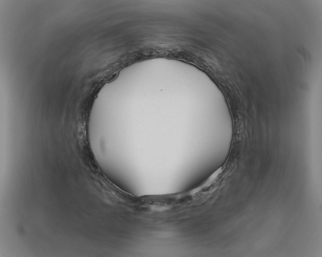 X0000113531109200910161343