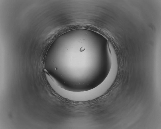 X0000113531110200910161343