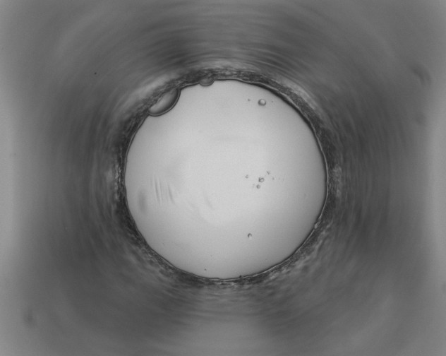 X0000113531111200910161343