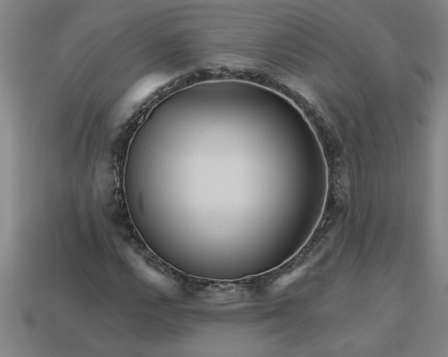 X0000113531112200910161343