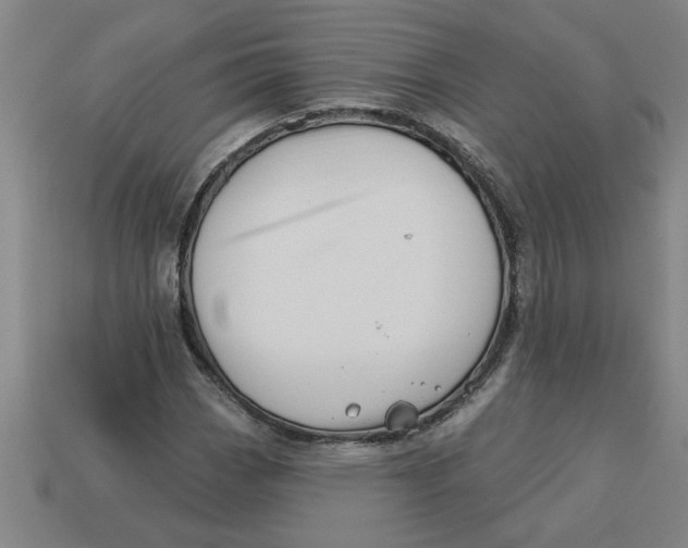 X0000113531113200910161343