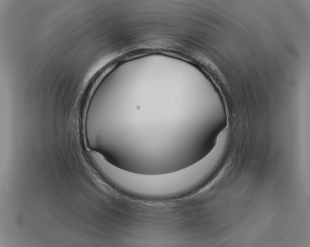 X0000113531114200910161343