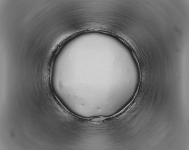 X0000113531115200910161343