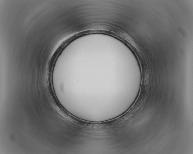 X0000113531116200910161343