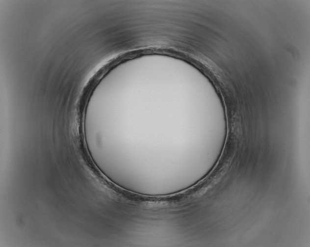 X0000113531118200910161343