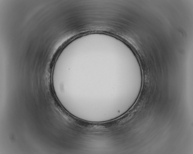 X0000113531119200910161343