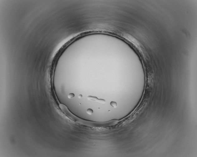 X0000113531120200910161343