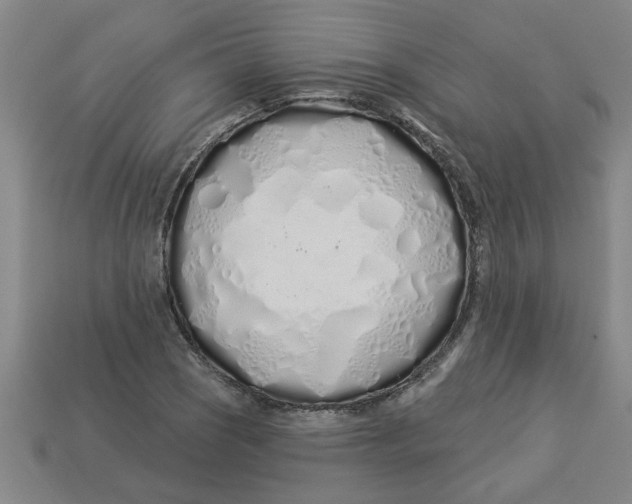 X0000113531121200910161343