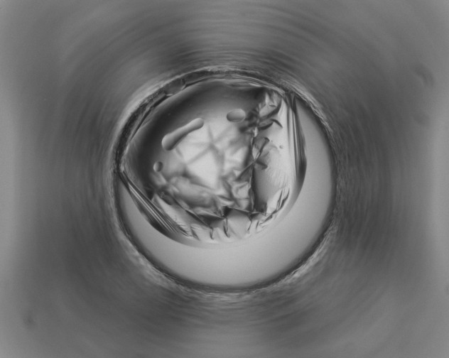 X0000113531122200910161343