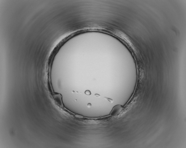 X0000113531124200910161343