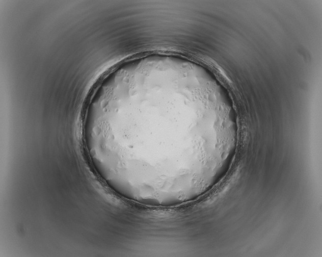 X0000113531125200910161343