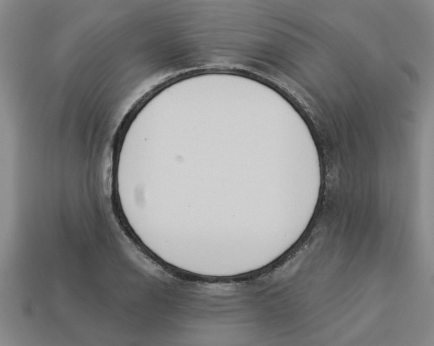 X0000113531126200910161343