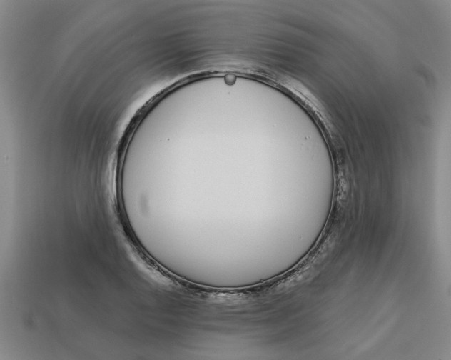 X0000113531128200910161343