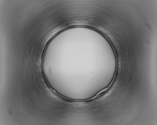 X0000113531129200910161343