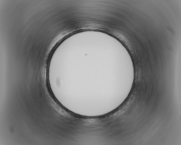 X0000113531130200910161343