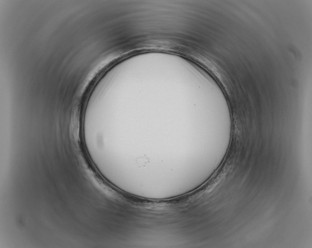 X0000113531131200910161344