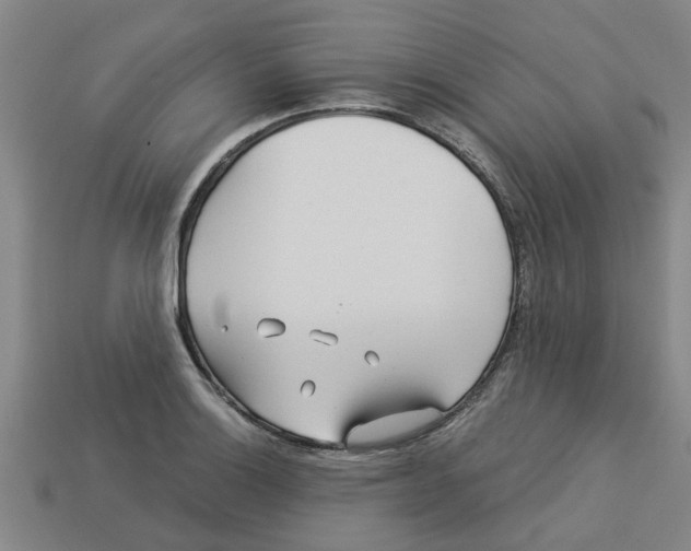 X0000113531132200910161344