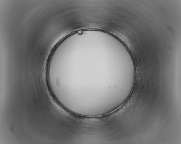 X0000113531135200910161344