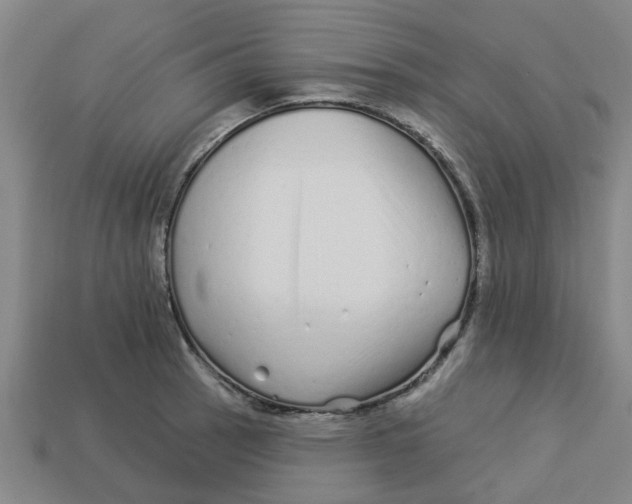 X0000113531137200910161344