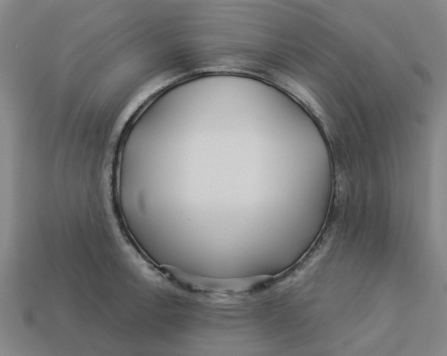 X0000113531138200910161344