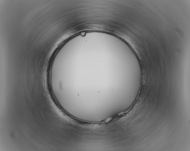 X0000113531139200910161344