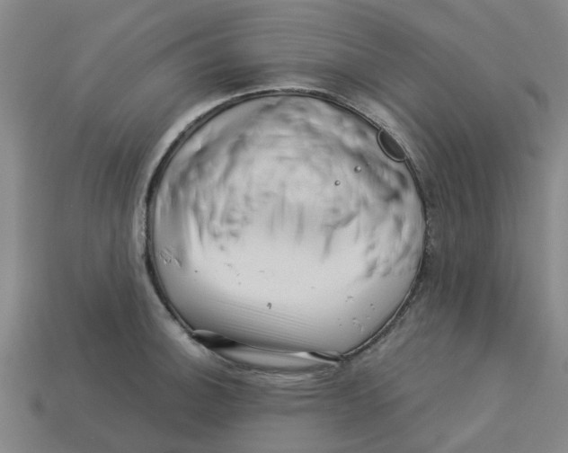 X0000113531140200910161344