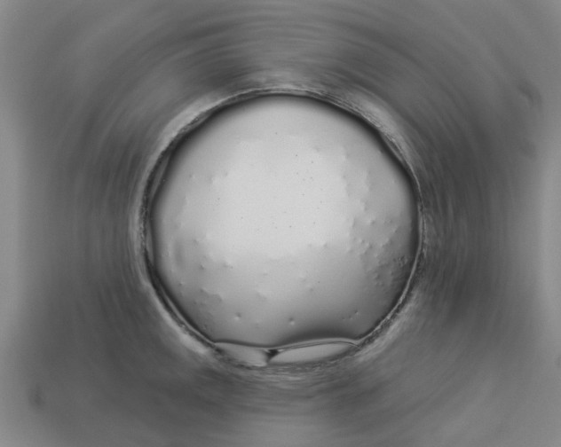 X0000113531141200910161344